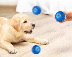 electronic interactive dog toys