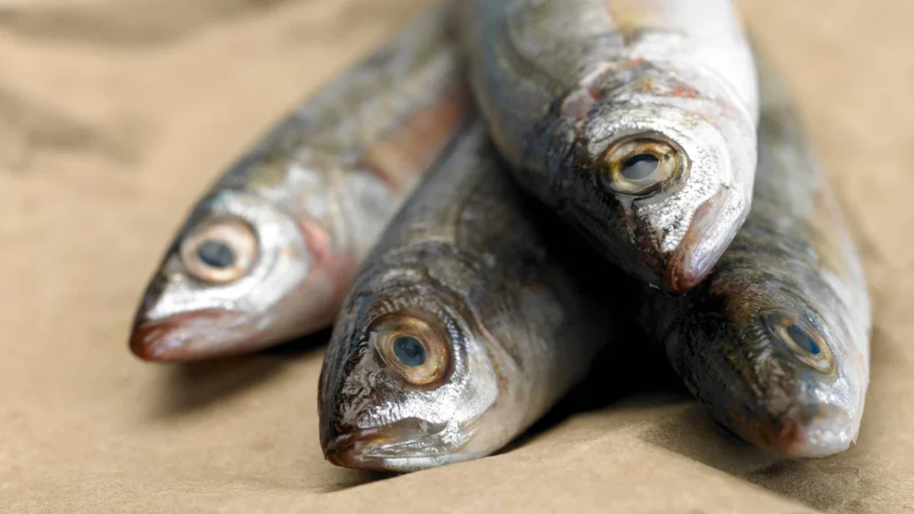 oily fish dog food toppers