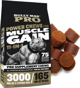 what dog should eat to gain weight