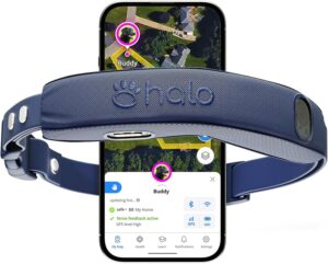 halo wireless dog fence