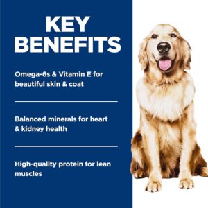 hill science diet perfect weight dog food review