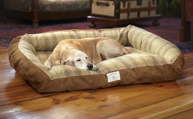 large dog beds