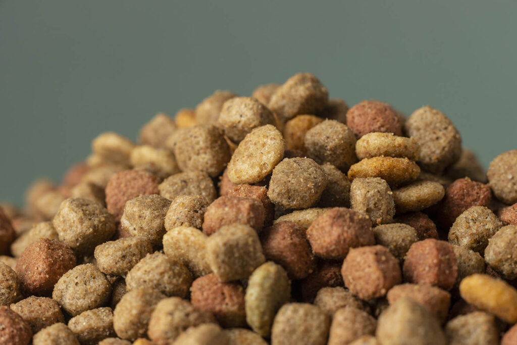 limited ingredient dog food