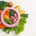 low fat dog food