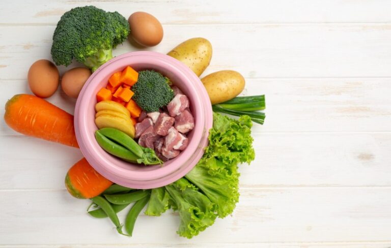 low fat dog food