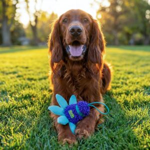 wand toys for dog
