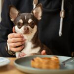 weight control dog food