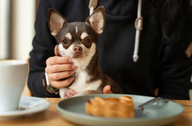 weight control dog food