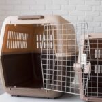 collapsible dog crate