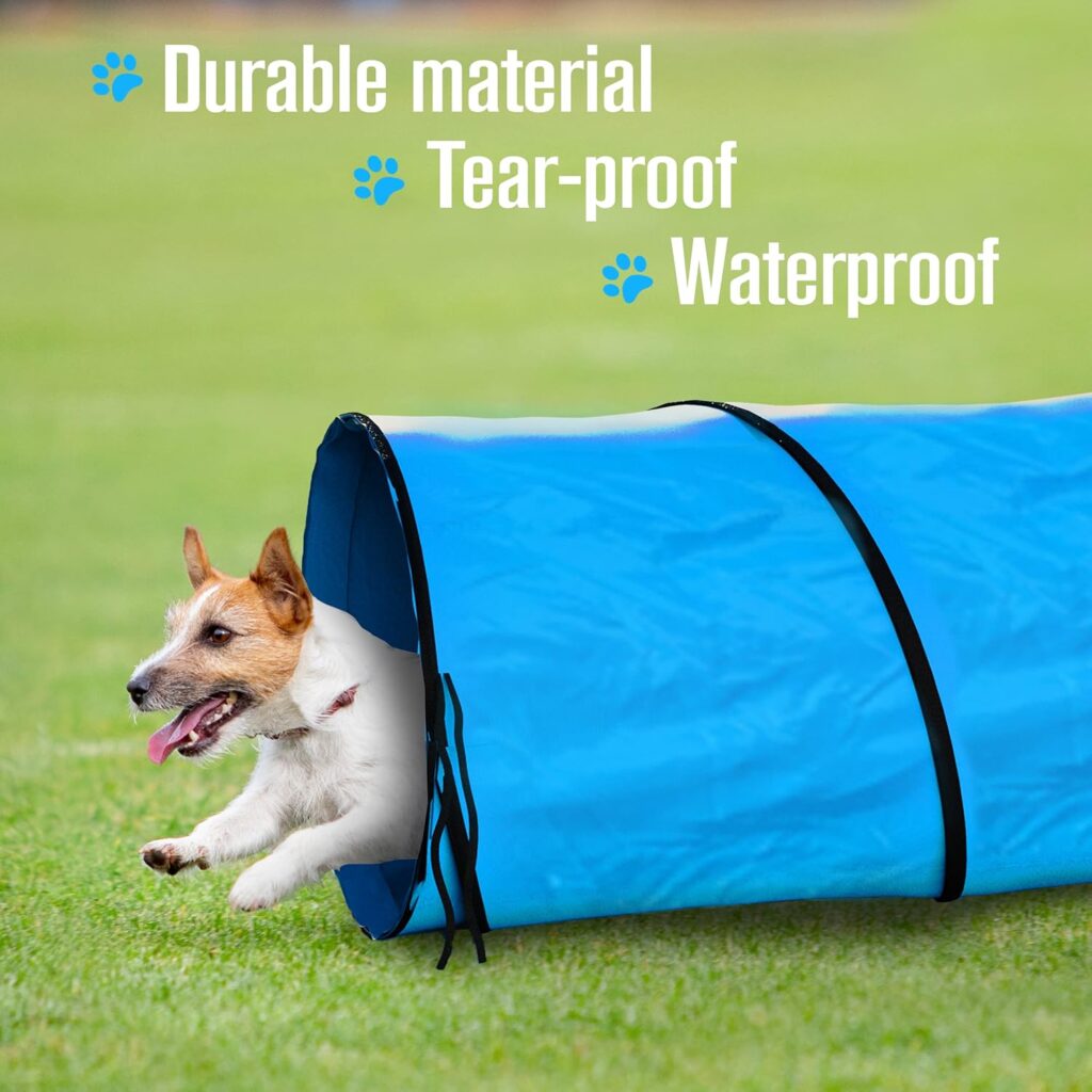 dog tunnel toys for zoomies