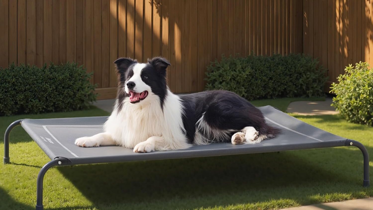elevate large dog bed