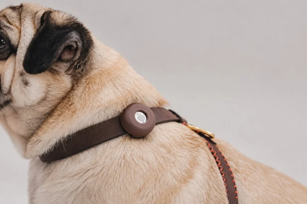 how to track airtag dog collar
