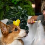 dog toothpaste