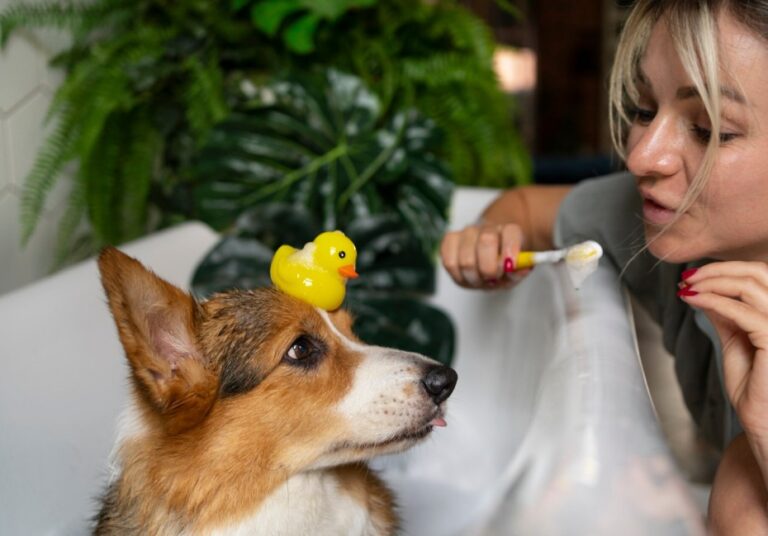 dog toothpaste